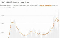 미국, 코로나로 33초에 1명꼴 사망…뉴욕주서 변이 바이러스 확인