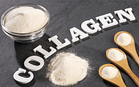 동안 유지의 비결, 진피 속 콜라겐에 있다