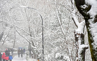 [일기예보] 오늘 날씨, 전국 최강 한파·곳곳에 눈 '예상 적설 최고 50cm'…'서울 아침 -11도' &quot;미세먼지 '좋음'&quot;