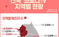 [코로나19 지역별 현황] 서울 2만602명·경기 1만5947명·대구 7978명·인천 3213명·경북 2559명·검역소 2502명  순