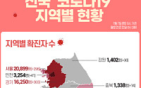 [코로나19 지역별 현황] 서울 2만899명·경기 1만6250명·대구 7987명·인천 3254명·경북 2595명·검역소 2516명  순