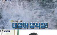 양준혁 예비신부 박현선 직업, 대방어 양식장 보유…시세 화제
