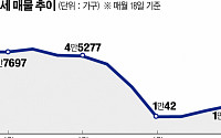 “너무 올랐나”… 한풀 꺾인 서울 전세시장