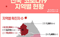 [코로나19 지역별 현황] 서울 2만2984명·경기 1만8655명·대구 8195명·인천 3619명·경북 2818명·검역 2624명 순