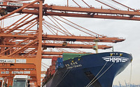 HMM, 국내 기업 대미 수출 위해 9번째 임시선박 투입
