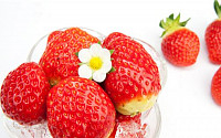 딸기 국산화율 96%…일본산 자취 감춰