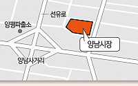 &quot;분양 확대&quot; 말 뿐… 임대주택 늘리는 서울시