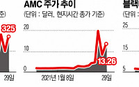 [미국 개미들의 반란] ① 아마추어 투자자들의 新 월가 점령