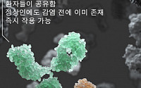 서울대병원 &quot;코로나19 비감염자도 '항체' 만드는 면역세포 있어&quot;