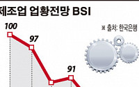 기업경기 제조업전망 27개월만에 최저