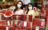 [포토] 이마트, '겨울철 인기 상품 2위' 딸기 행사