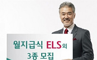 하나대투證, ELS 4종 판매