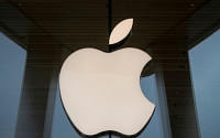 애플, 지난 1년간 배당금 15조 지급...더 늘릴 계획