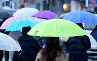[포토] '봄 소식 알리는 우산'