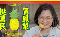 대만 “자유의 파인애플” 먹기 운동에...4일만에 중국 1년 수출량 넘겼다