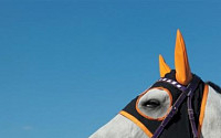 ［경마］결초보은한 경주馬, ‘백광’의 은퇴식