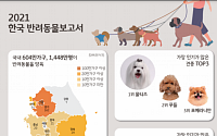 반려동물에 빠진 한국…3가구 중 1가구가 반려동물 키워