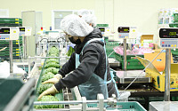 CJ프레시웨이, 업계 첫 농산물 패킹 스토리지(PS) 센터 가동