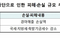 마사회 지난해 매출손실액 6.3조…온라인 마권 발매 허용 추진