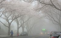 [일기예보] 오늘 날씨, 전국 대체로 맑지만 ‘서해안에 짙은 안개’…서울 낮 20도·수도권 미세먼지 ‘나쁨’