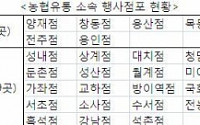 농협유통, 김장재료 최대 60% 할인