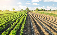 “농업이 미래” 이상기후로 ‘애그테크’ 뜬다