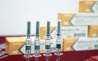 中질병관리 수장 “중국산 백신 효과 높지 않다” 첫 시인
