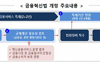 ‘특례기간 1년 6개월 연장’ 금융혁신법 개정안, 국무회의 통과