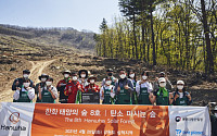 한화그룹, 삼척 탄소중립숲에 '한화 태양의 숲 8호' 조성 마무리