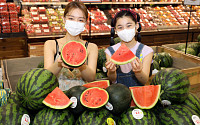 [포토] 이마트, 여름 대표 과일 수박 판매