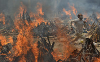 코로나 지옥 인도, 글로벌 화약고로 폭발 중, 동남아 재확산
