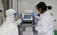 서울대 신속 PCR 검사, 6일부터 구성원에 전면 확대