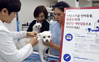 전국 동물병원 진료비 내년 상반기 공개…표준 개발해 진료비 편차 줄인다