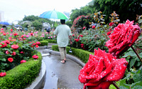 [내일 날씨] 오전 전국 곳곳 비…황사에 미세먼지 '매우나쁨'