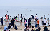 [포토] '초여름 날씨, 바다 찾은 시민들'