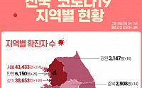 [코로나19 지역별 현황] 서울 4만3433명·경기 3만8653명·대구 9843명·인천 6150명·부산 5624명 순