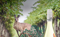 롯데마트, 3일부터 전점서 친환경 호주 와인 판매