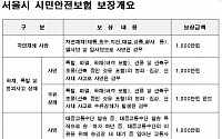 서울시 '시민안전보험' 4억5000만원 보험금 지급