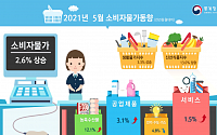 [종합] 5월 소비자물가 상승률 2.6%…9년 1개월 만에 최고치