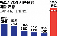 코로나19 대출 연착륙한다지만…&quot;부실폭탄 터질라&quot; 우려 증폭