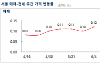 더 커진 서울 아파트값 오름폭…이번 주 0.12% 상승