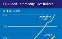 세계 식량 가격, 10년 만에 상승폭 최고