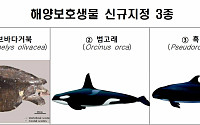 해수부, 올리브바다거북ㆍ범고래ㆍ흑범고래 해양보호생물 지정