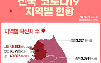 [코로나19 지역별 현황] 서울 4만5892명·경기 4만802명·대구 1만356명·인천 6379명·부산 5859명 순
