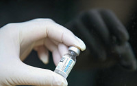 “미국 FDA, 얀센 백신에 자가 면역 질환 발병 경고 예정”
