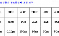 삼성전자, 60나노 8기가 낸드 본격 양산