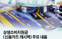 ‘신용카드 캐시백’ 결정되자 카드사 “1차 재난지원금보다 어렵다” 난색