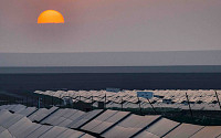 중국 신장 인권 문제, 글로벌 태양광 산업에 그림자…실리콘 가격 5배 폭등