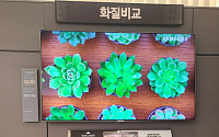 삼성전자가 LG OLED 패널을 쓸 수 없는 이유 알아보니