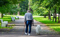 사람과 노화과정 비슷한 반려견, 시니어 몸ㆍ정신 건강에 이로워